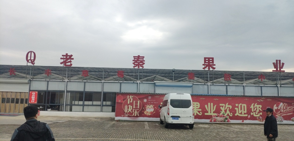 橙犀上門培訓合肥老秦果業清潔設備